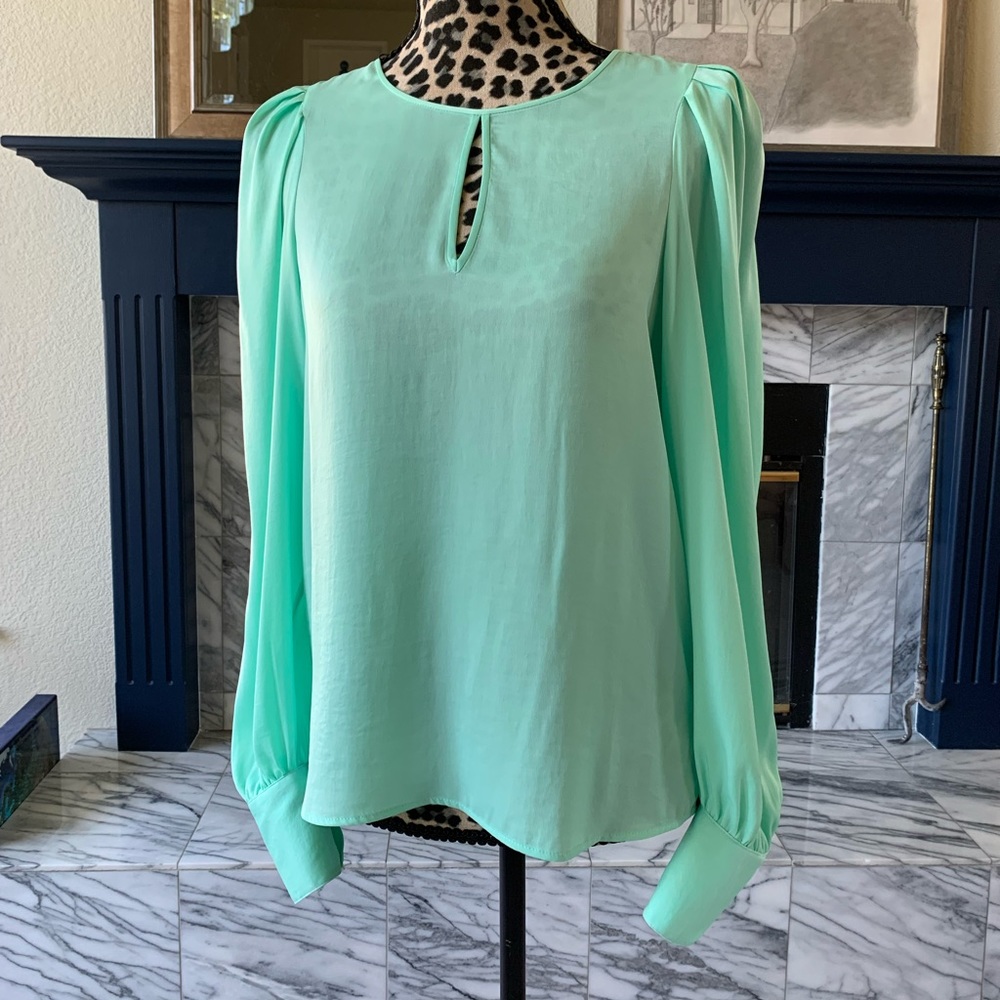 Gorgeous silky blouse, like new condition.